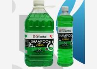 Shampoo para carro 1 galon quimica oriental (champu)