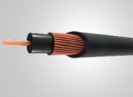 Cable Electrico Concentrico 2 x 12
