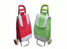 Coche o carrito de compras Importado con Bolsa