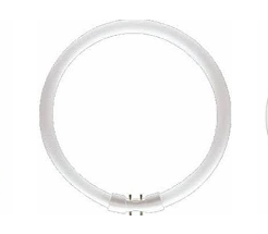 Fluorescente Circular Antiguo 32w "Phillips"